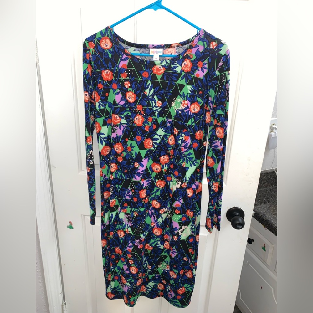 LuLaRoe Debbie Long Sleeve Dress Size Medium